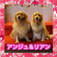 画像 GOLDEN☆TIME☆彡のユーザープロフィール画像