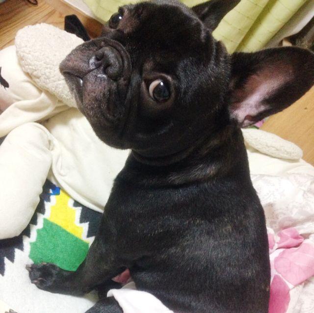 ＹＯＵ