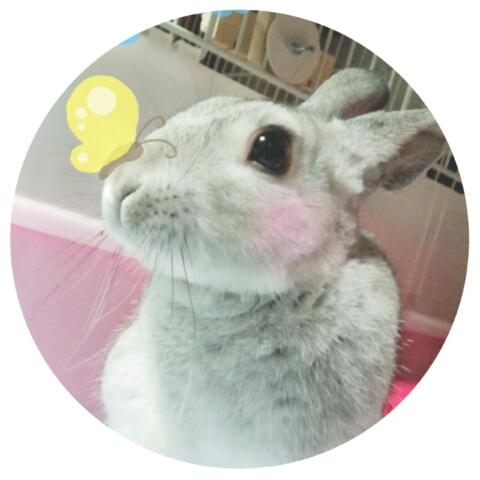 ぬぬ