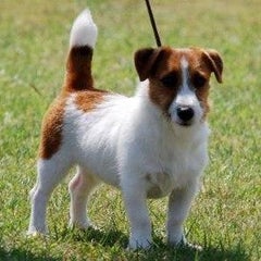 ピュアさんのプロフィール