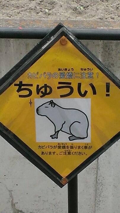 赤い彗星