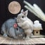 花さぼてんのサムネイル