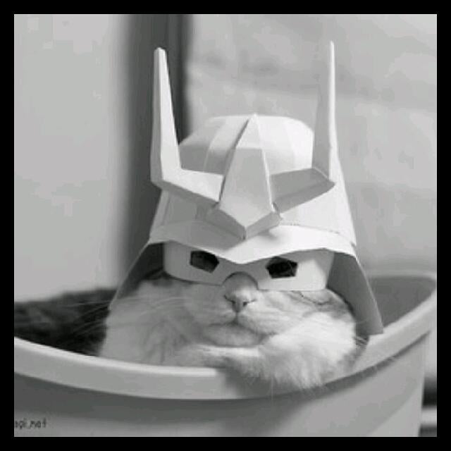 白い彗星ひろ