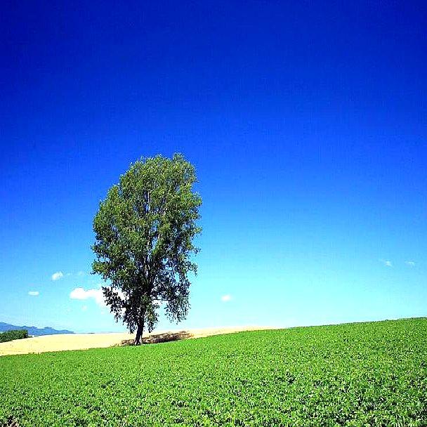 武井咲日記198 | westのブログ