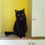 画像 「ウログ」猫と手芸と日々の気づきとのユーザープロフィール画像