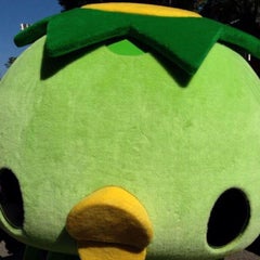 なつのプロフィール
