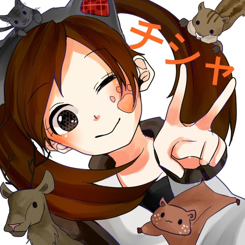 *゜野良猫