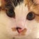 Treasurecatはこっちで編んでいる。