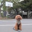画像 三点王の大穴探して三千裏のユーザープロフィール画像
