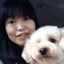 画像 新潟県アニマルコミュニケーター幸子　ペットちゃんと飼い主さまを幸せにする方法のユーザープロフィール画像