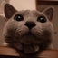 画像 癒しの丸顔猫、ロシアンブルーのクリちゃんのユーザープロフィール画像