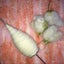 spinning-dyeing-weavingのサムネイル