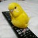 ぴよこのブログ