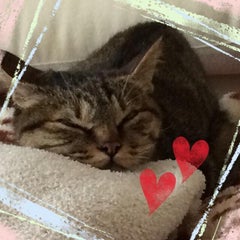 dariaのプロフィール