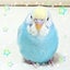 ちか先生♪のサムネイル