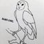 audorinaのサムネイル