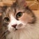 不動まゆうのブログ　猫とお酒と灯台と