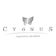 歌舞伎町 ホストクラブ CYGNUS オフィシャルブログ