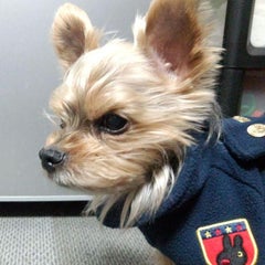 tomojin329のプロフィール