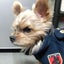 tomojin329のサムネイル