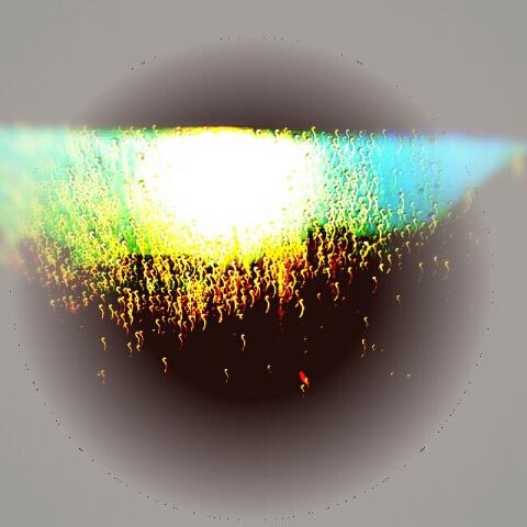 bacteria199027