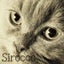 画像 sirocco shopブログのユーザープロフィール画像