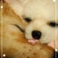 ゆりねぇのサムネイル