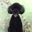黒ぷーのサムネイル