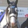 雪のかけらの競馬ブログ