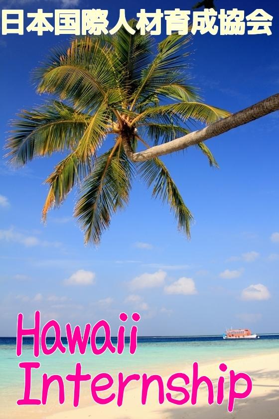 Hawaii Internship