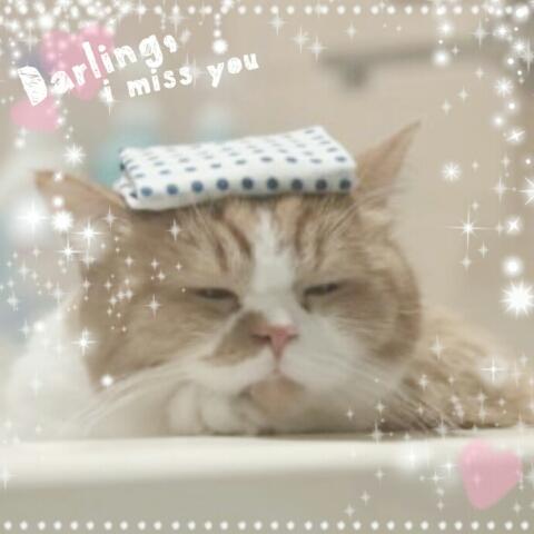 ♡苺pink♡
