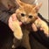 ぴーすふるらいふ。〜ぼんびーシングルマザーがゆく〜