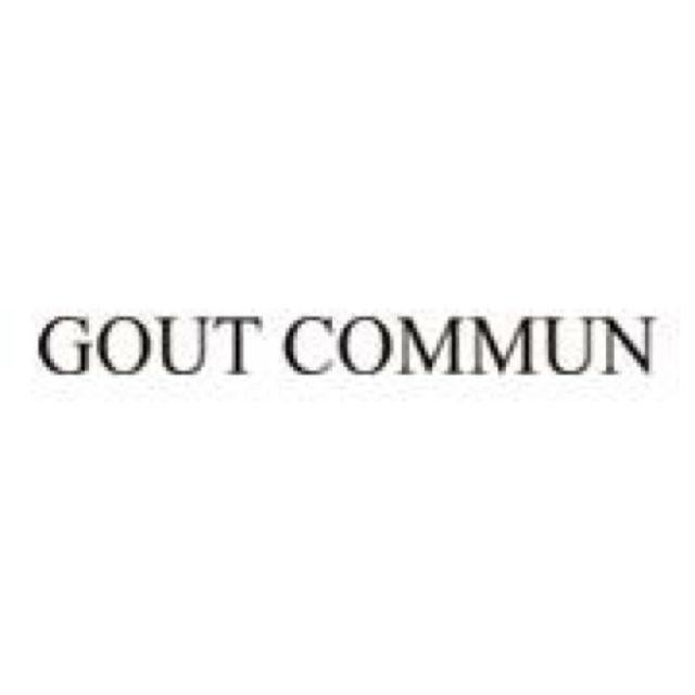長谷川京子さん着用トートバッグ♪ | GOUT COMMUNオフシャルブログ