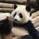 ダジャレで覚える中国語単語