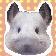 チンチラ☆チューチューまっしゅ ٩( 'ω' )و