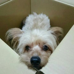 inokenのプロフィール