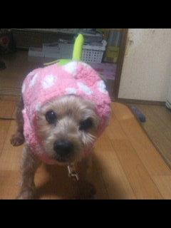 あいあい