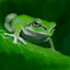 画像 frogdriveのブログのユーザープロフィール画像