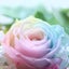画像 愛知県一宮市　プリザーブドフラワー　ブリアンマカロンタワーM-Style リボンデコ　Sweet Flowerのユーザープロフィール画像