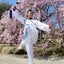 李瑩（リ・イン）中国太極拳クラブのサムネイル
