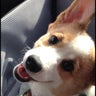 はるきんのプロフィール
