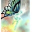 画像 水彩とパステルのアトリエ「マリンカ」 小泉彫ブログのユーザープロフィール画像