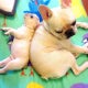 ゆきちママ(mamegoro)のおすすめのサムネイル