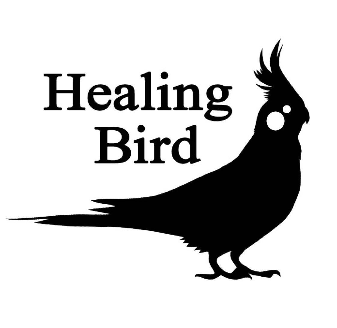 オカメインコのオスメスの見分け方 Healing Bird ブログ