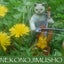 nekonojimushoのサムネイル