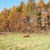 北海道 牧場の日々　Ｈｏｍｅ　on　the　Ｒａｎｇｅへの道