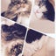nekodaisukiのサムネイル