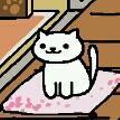 IWASHIのプロフィール
