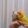 サバコのひとりごと