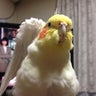 にっちゃんのプロフィール
